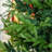 Artificial Christmas Tree-2123727994