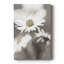 Daisy I stylisé - Cavas enveloppés de galerie-108827152