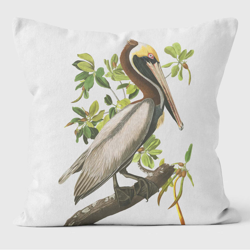 Brown Pelican Birds of America Cushions