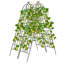 Red Barrel Studio 2 Pack 87" X 20" Metal Garden Trellis Decorative Outdoor Trellis For Climbing Plants