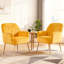 Chaise d'appoint confortable en velours avec pieds en métal, style moderne pour le salon et le bureau