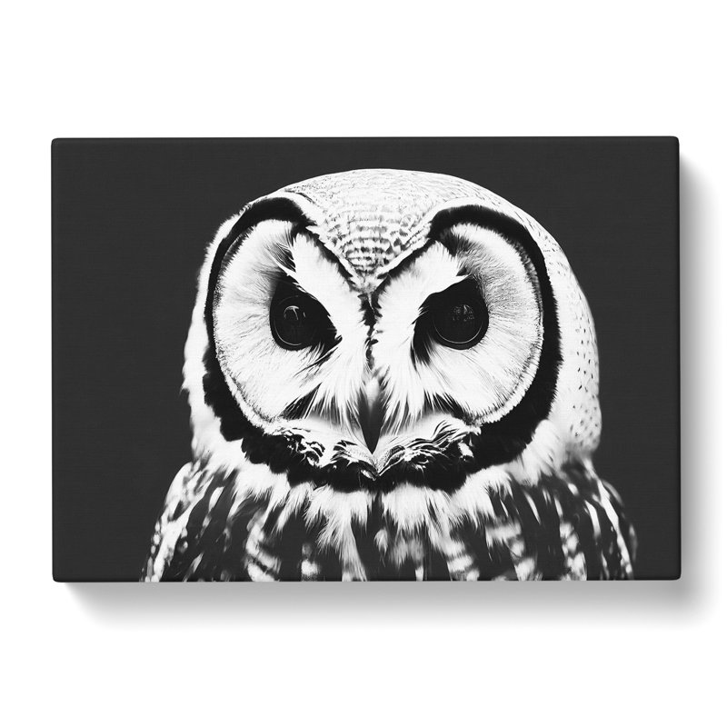 Owl Portrait Monochrome Vol.1 - Wrapped Canvas, 35cm H x 50cm W x 3cm D