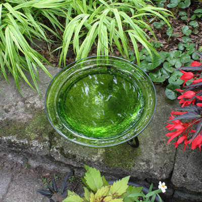 Vitya Fern Crackle Birdbath