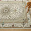 Oriental Machine Tufted Shag Area Rug-1057486457