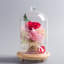 Petrolia Cloche Or Water Globe-687655675