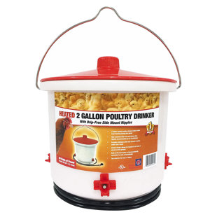 Farm Innovators Heated 2 Gallon Poultry Water Bucket Drinker, White/Red (2 Pack) (Set of 2)