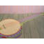 Banjo Print by Sue Graef-71199852-132872415