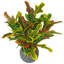 65cm Faux Plant in Pot Liner