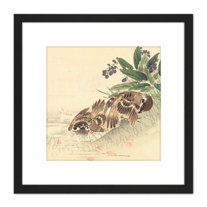Bathing Tree Sparrow Japanese Woodblock by Kono Bairei - Single Picture Frame Print