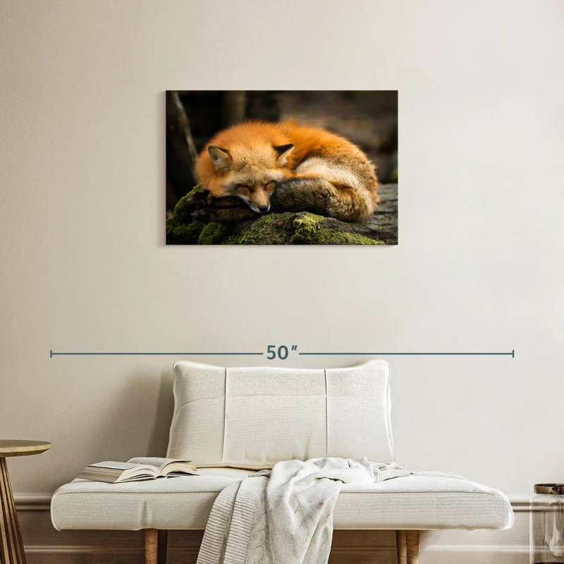 Renard jaune endormi, H 20 po x l 30 po