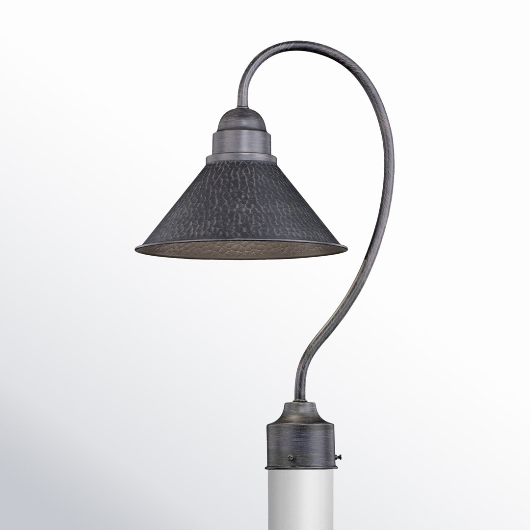 Callery Lantern Head Birch Lane™