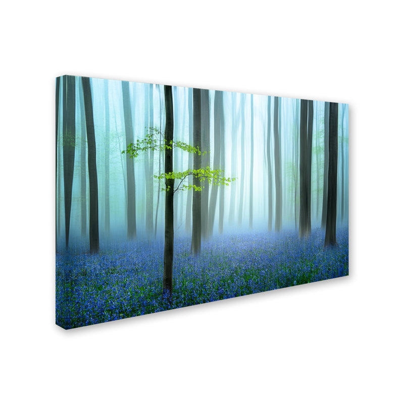 Blue Forest Scenic Landscape Canvas Art with Wood Frame