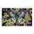Jardin des papillons de minuit