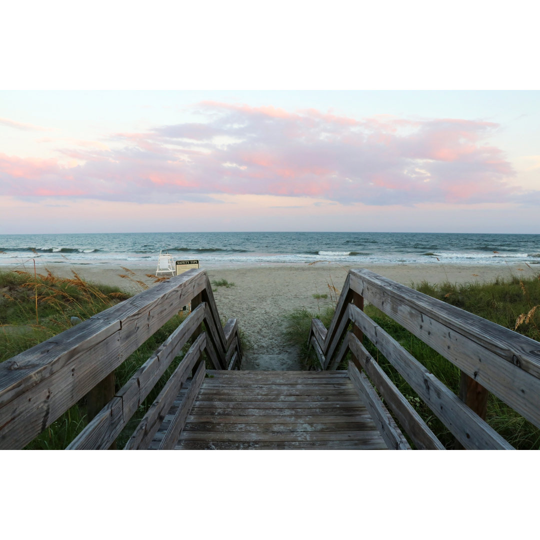 South Carolina Nature - Wrapped Canvas Print