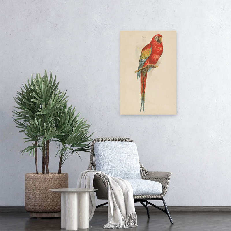 Étude de perroquet - animal oiseau bleu art brun, H 24 po x l 16 po