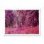 «Pink and Purple Fantasy Forest VII», reproduction sur toile flottante-726647818-726647817