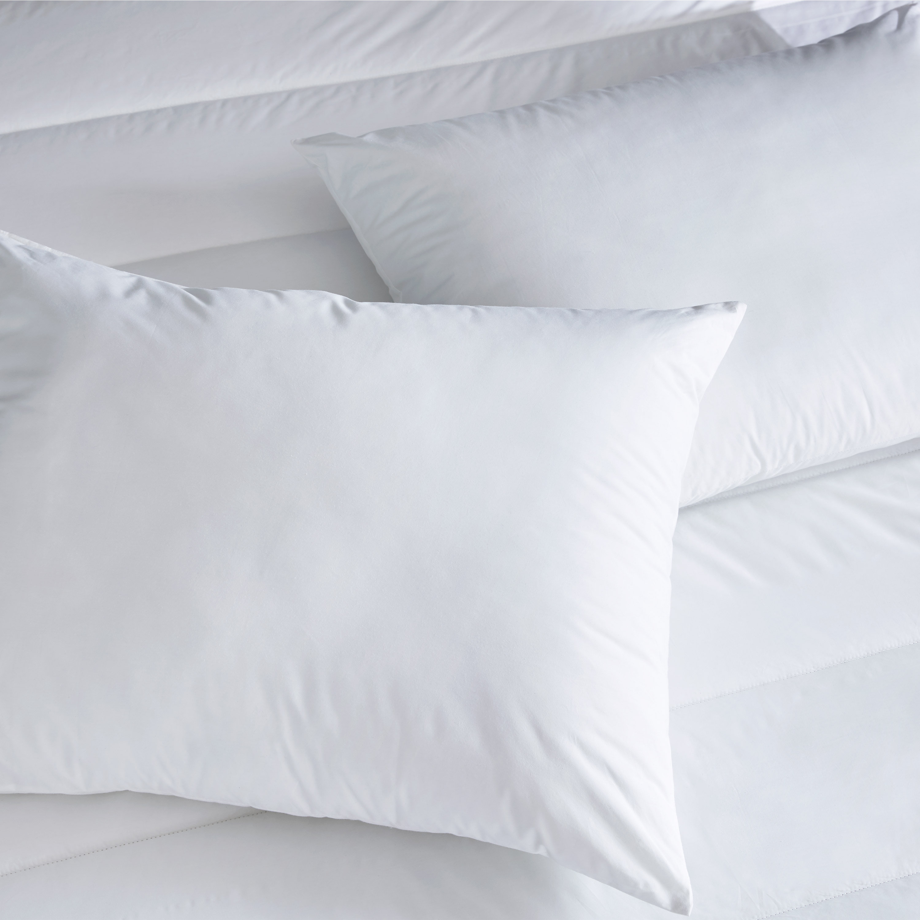 https://assets.wfcdn.com/im/96876947/compr-r85/2339/233920701/clean-design-home-x-martex-blown-pillow-collection-pillow.jpg