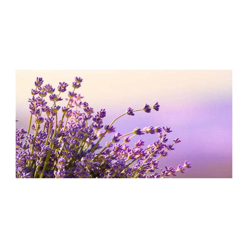 Lavender - No Frame Print, Canvas, 70cm H x 140cm W x 2cm D