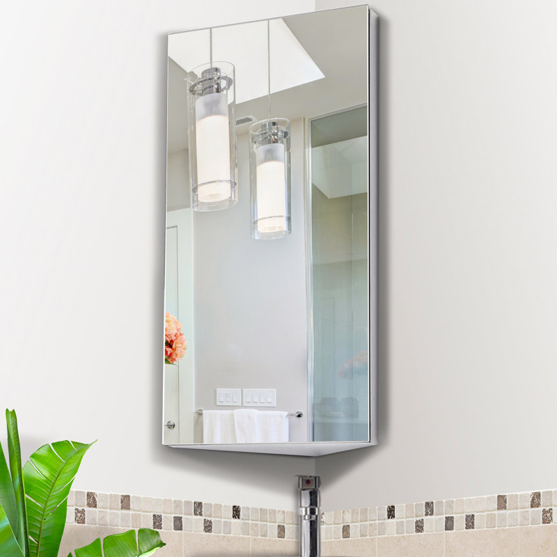Isay 300mm W 600mm H Surface Framed Medicine Cabinet Mirror 2 Fixed