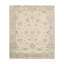 Oriental Area Rug in Ivory