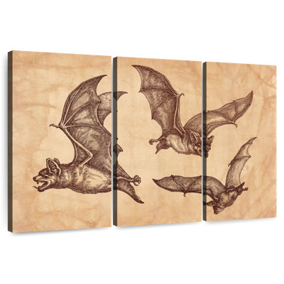 Chauves-souris Brampt