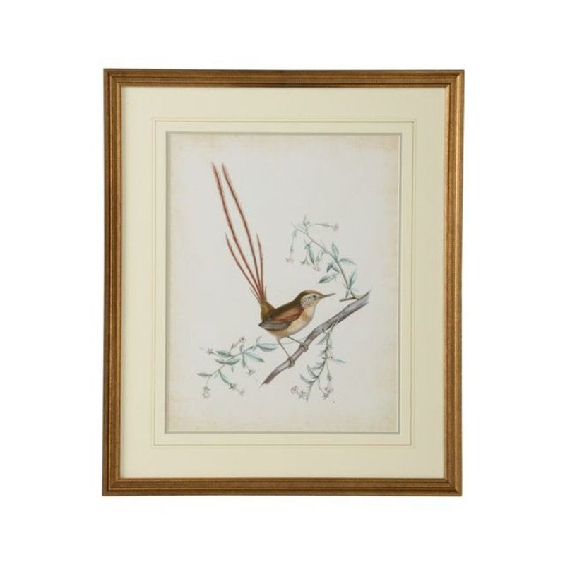 Delicate Birds I Print