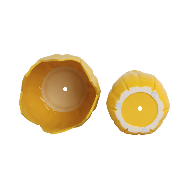 Set Of 2 Stoneware Ceramic Planters With Petal Design And Drainage Hole, Yellow