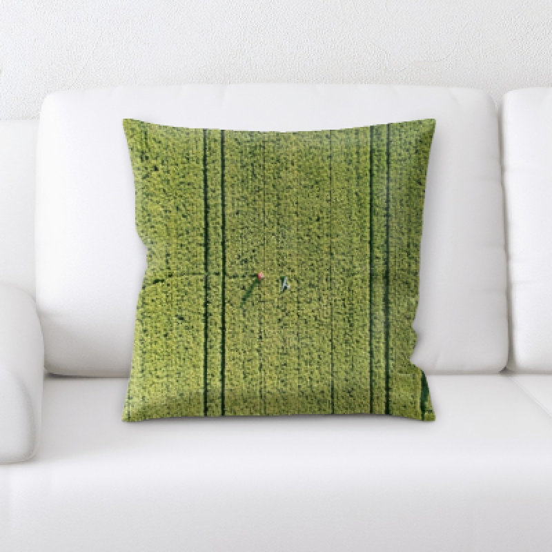 Coussin décoratif