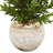 Olive Cone Artificial Topiary Tree in Planter
