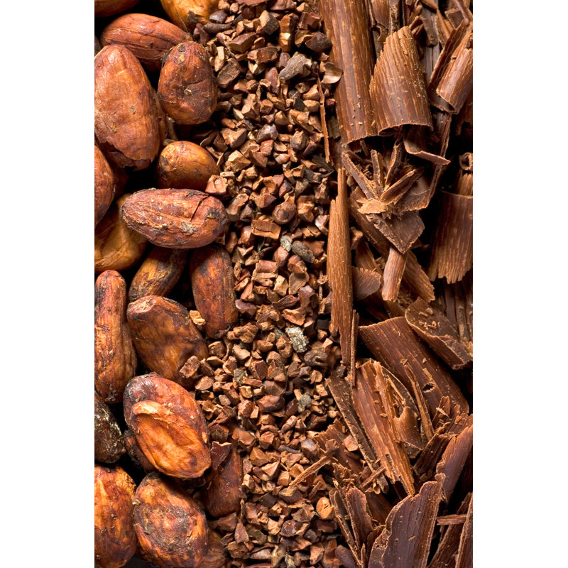 Cocoa Beans by Maceofoto - Wrapped Canvas Print, 46cm H x 30cm W