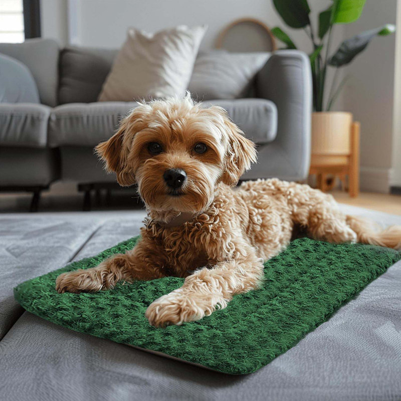Small Dog Beds For Puppies - Soft, Washable Mats Specifically Designed For Cages, Chew Proof And Travel-Friendly, Perfect For Small Breeds, Machine Washable Component And Durable For Long-Lasting Use& Cats