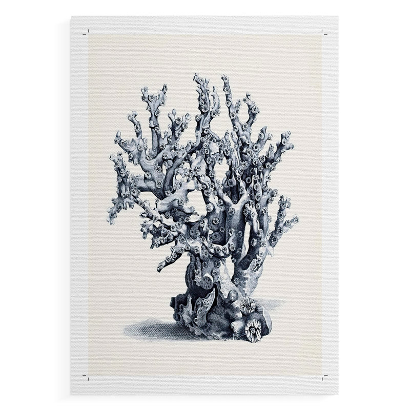 Bleu antique corail II - impression sur toile seulement - non encadrée, H 27 po x l 18 po