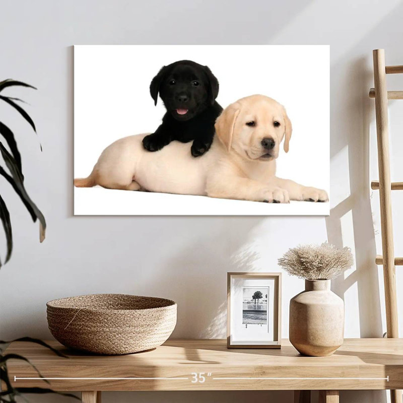 Yellow And Black Lab, 16" H x 24" W