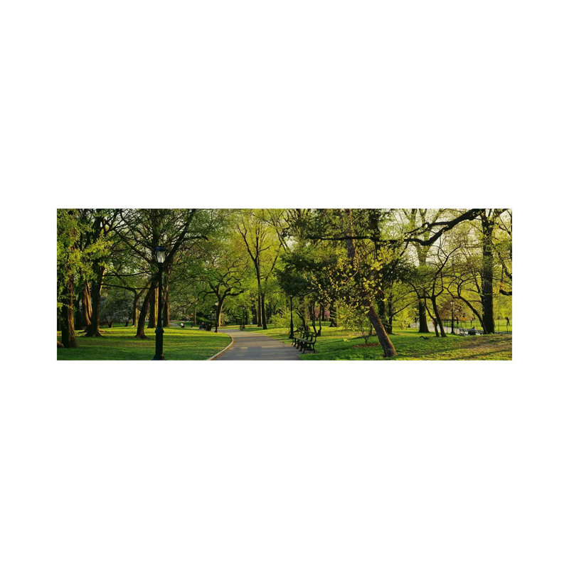 Trees In A Park, Central PArk, NYC, New York City, New York State, USA - Wrapped Canvas Panoramic Print