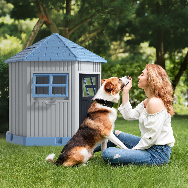 Dog House for Small to Medium Pets