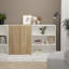 Basic Low Wide Storage Cabinet (2 Shelves) with 2 Doors-127661280