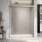60'' - W x 72'' H Double Added Door Framed Shower Door with Enduro Shield-94458677