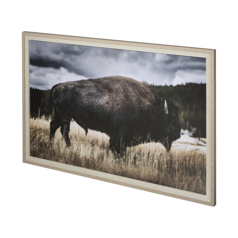 «Yellowstone Bison» par Dunker, reproduction d'art encadrée sous verre