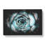 Pink And Green Succulent Plant - Wrapped Canvas-56647951