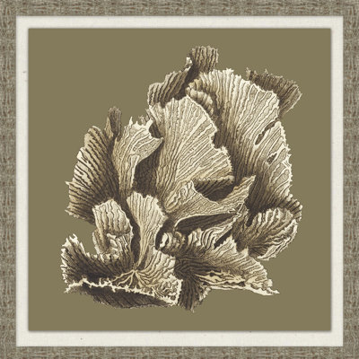 Graphic Coral Collection 2' Framed Graphic Art Print on Glass