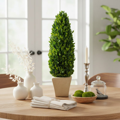 Ashbury 20" Handcrafted Preserved Cone Shaped Boxwood Topiary In Terracotta Pot