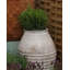 The Mediterranean Collection Handmade Pot Planter-27790012