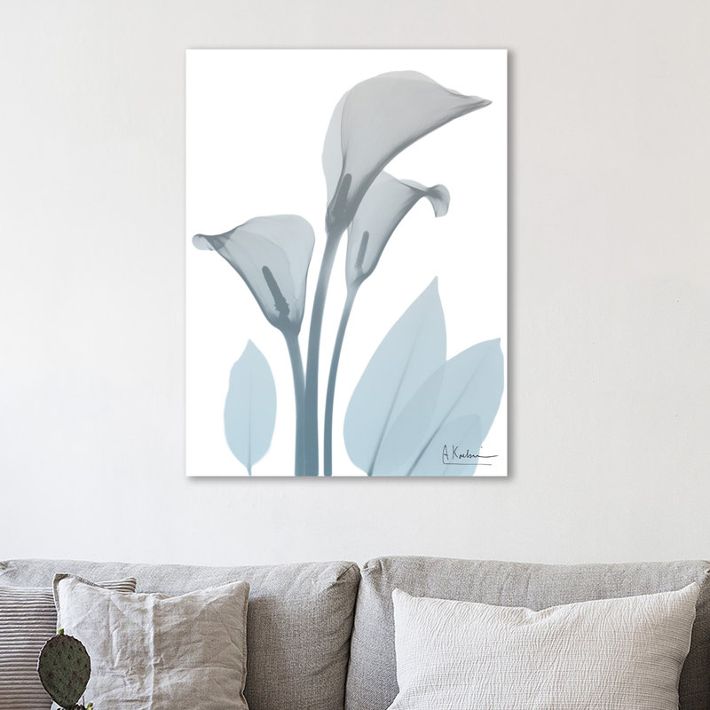 Serene Calla Lilly - Wrapped Canvas Print, 102 cm H x 76 cm W