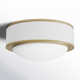 Single Light Glass LED Flush Mount