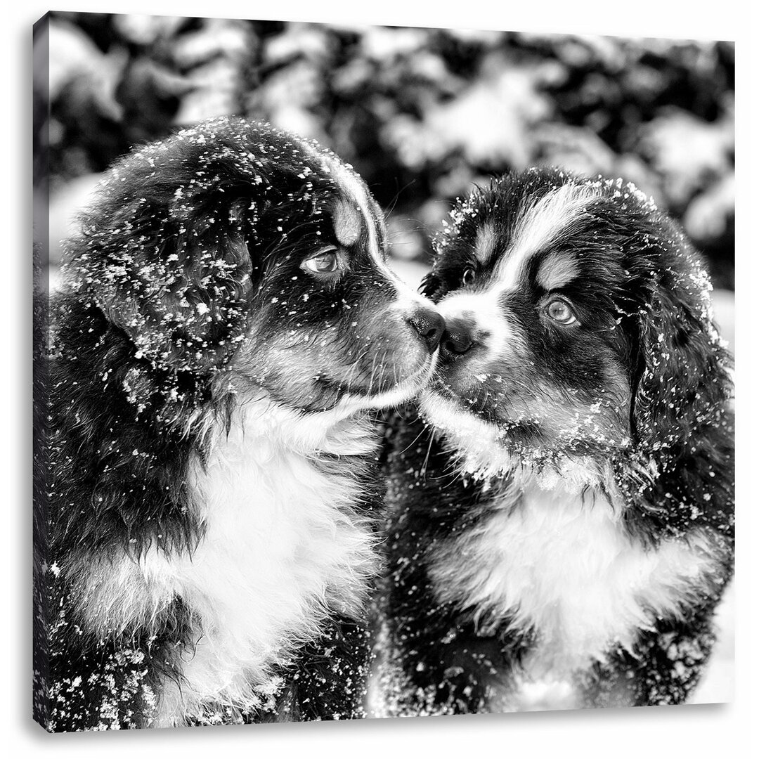 Leinwandbild Bernersennen Hunde Welpen im Schnee