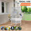 Bird Cage-2090403703