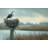 Osprey Nesting Canvas Print-118696140