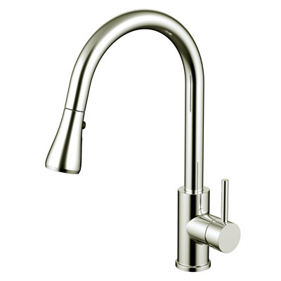 Daweier Pull Out Kitchen Faucet