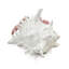 Figurine réaliste de crabe ermite avec coquille blanche-181010305-181010310