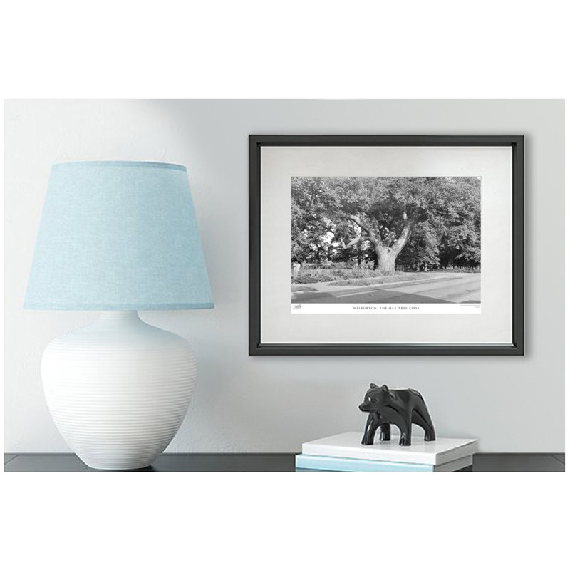 Wilburton, The Oak Tree C1955 by Francis Frith - Single Picture Frame Print, 28cm H x 36cm W x 2.3cm D